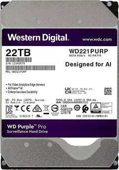 DISCO RIGIDO 22TB WD221PURP (4600159)