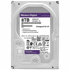 HD 8TB WESTERN DIGITAL PURPLE SATAIII 256MB WD85PURZ (076973)