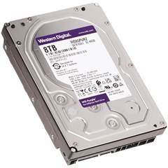 HD 8TB WESTERN DIGITAL PURPLE SATAIII 256MB WD85PURZ (076973)