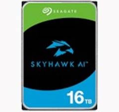 HD 16TB SEAGATE SKYHAWK 3.5 SATA - ST16000VE004  009000840